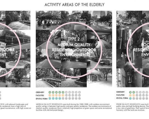 02-Activities Areas of the Elderly
