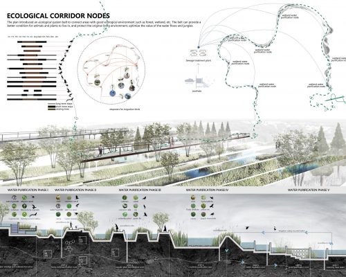 12Ecological corridor nodes