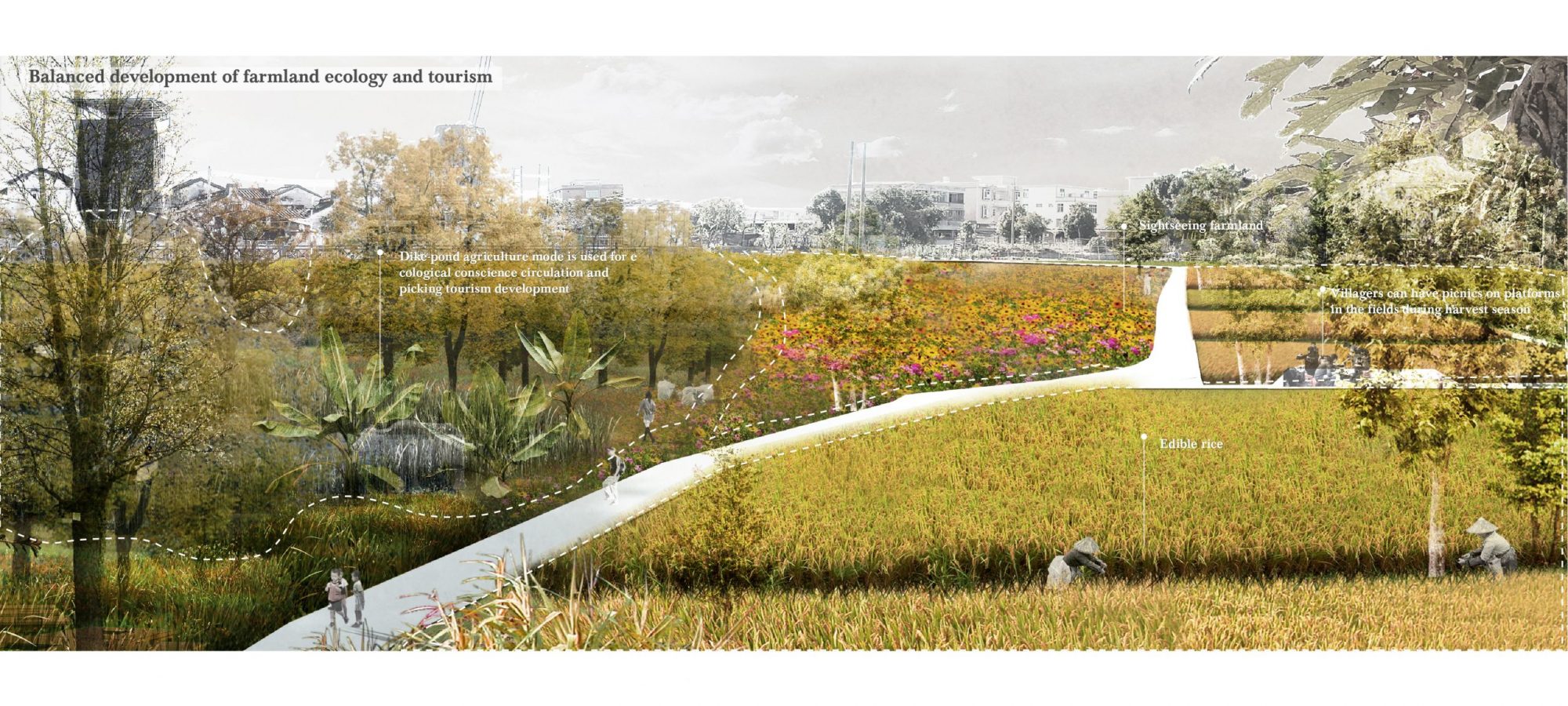 10 Farmland perspective 3. By Crystal.