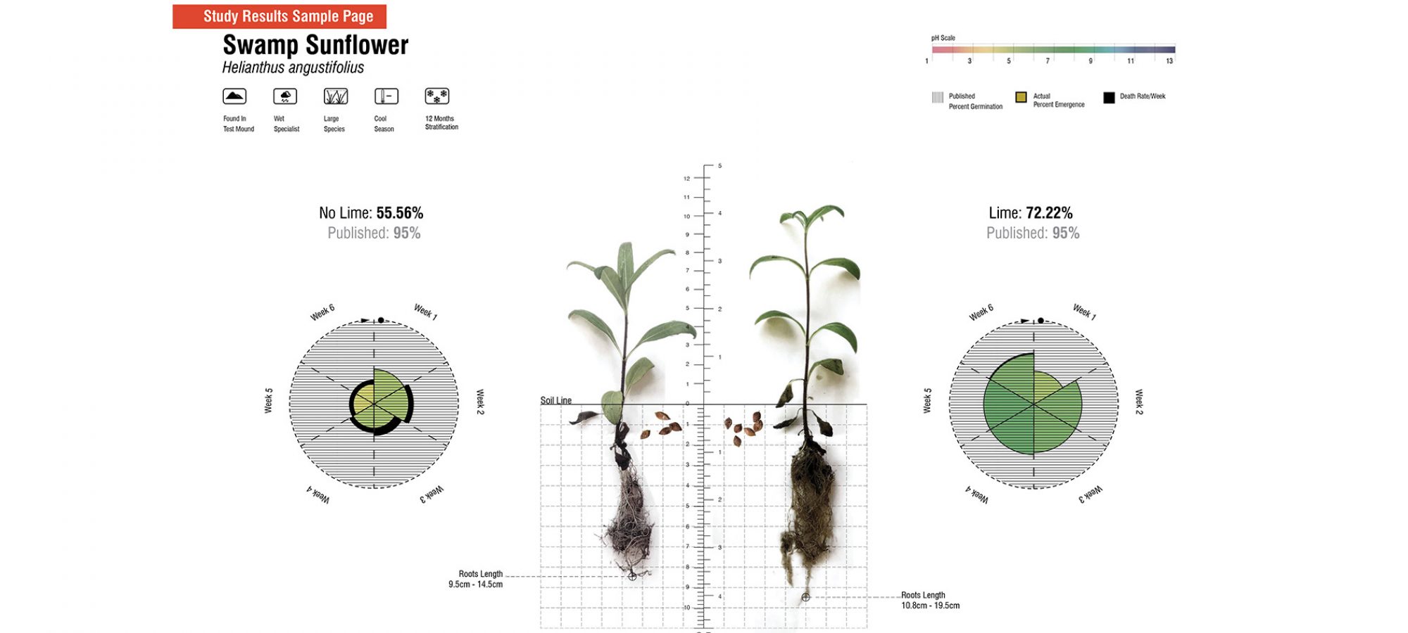 10.Study Results Sample Page.By Jiali LI