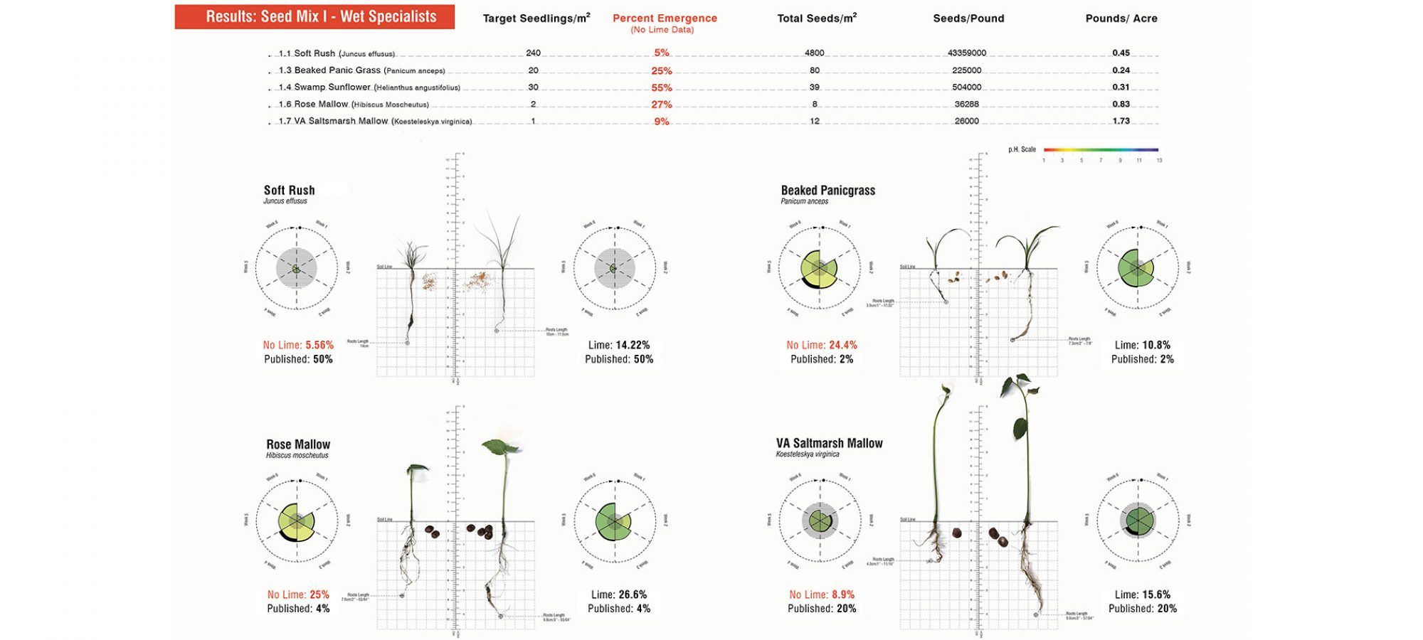 11.Results： Seed Mix I - Wet Specialists.By Jiali LI