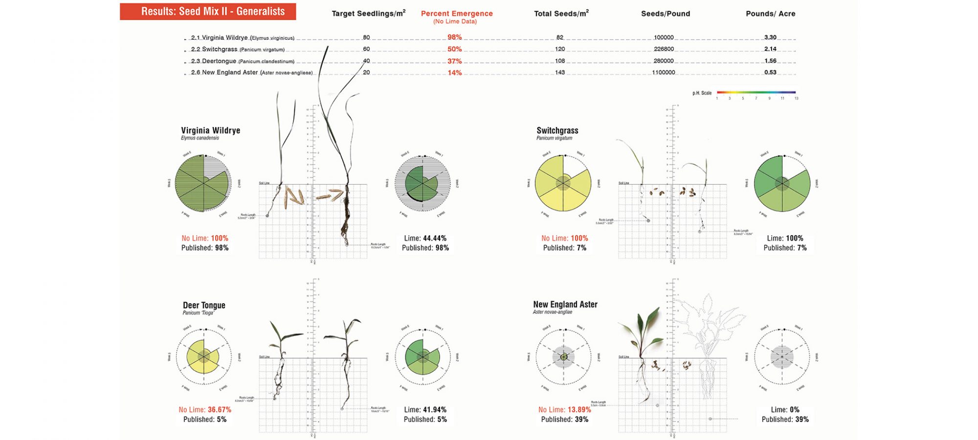 12.Results：Seed Mix II - Generalists.By Jiali LI