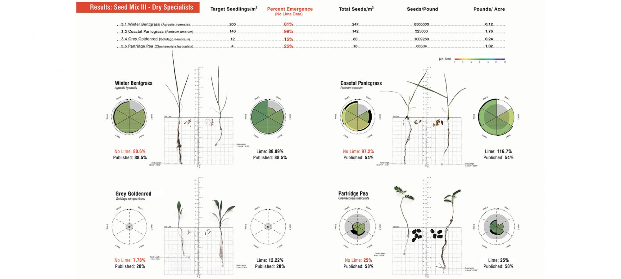13.Results：Seed Mix III - Dry Specialists.By Jiali LI