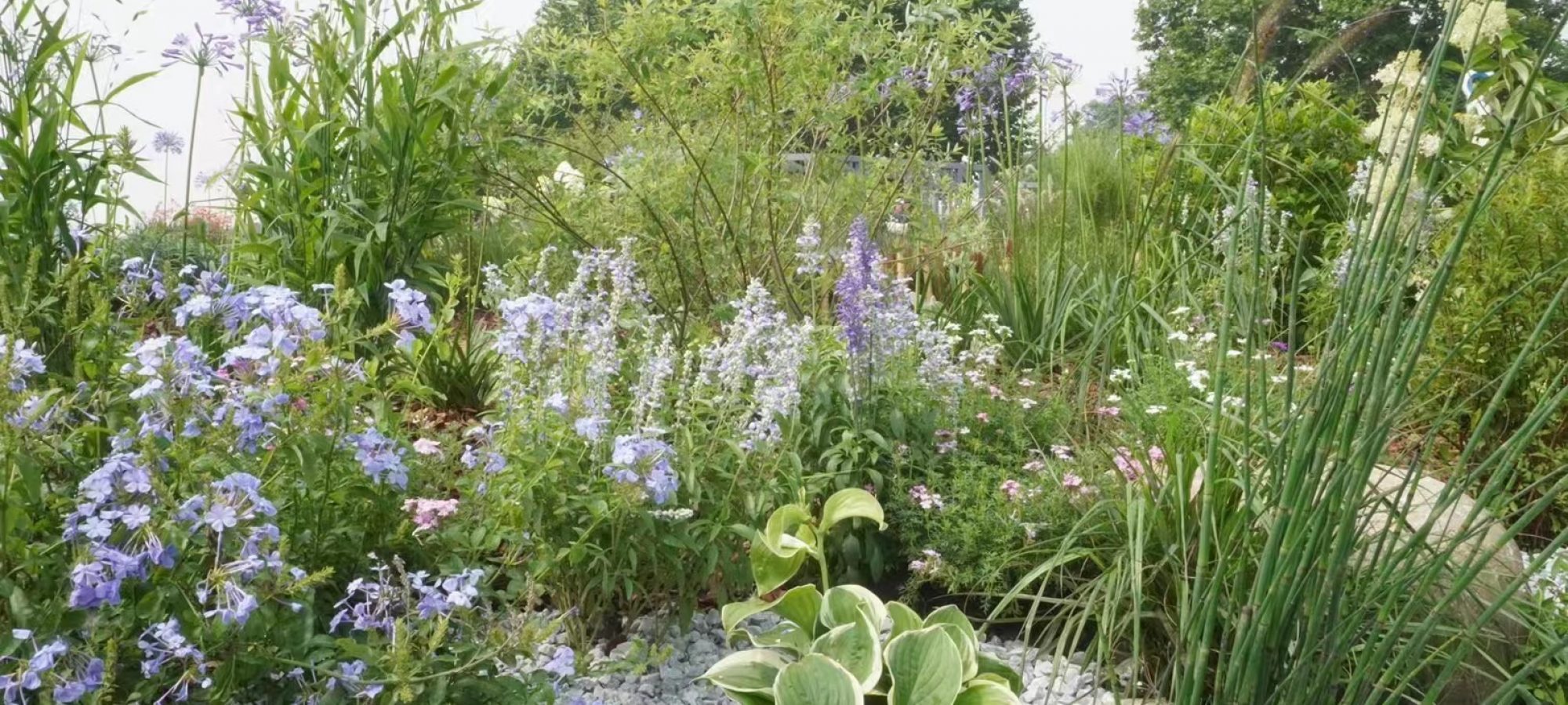 4.Actual photograph.By Lin QIAO (4)