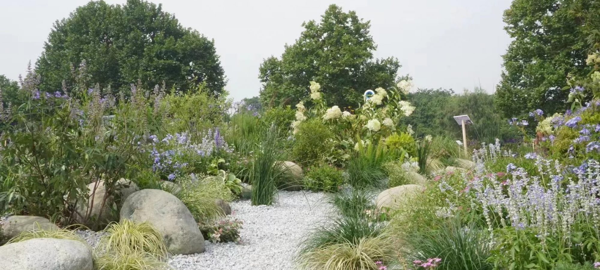 4.Actual photograph.By Lin QIAO (5)