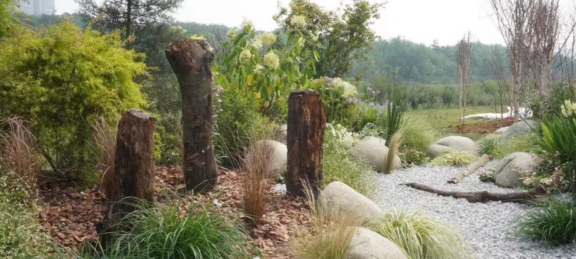 4.Actual photograph.By Lin QIAO(6)