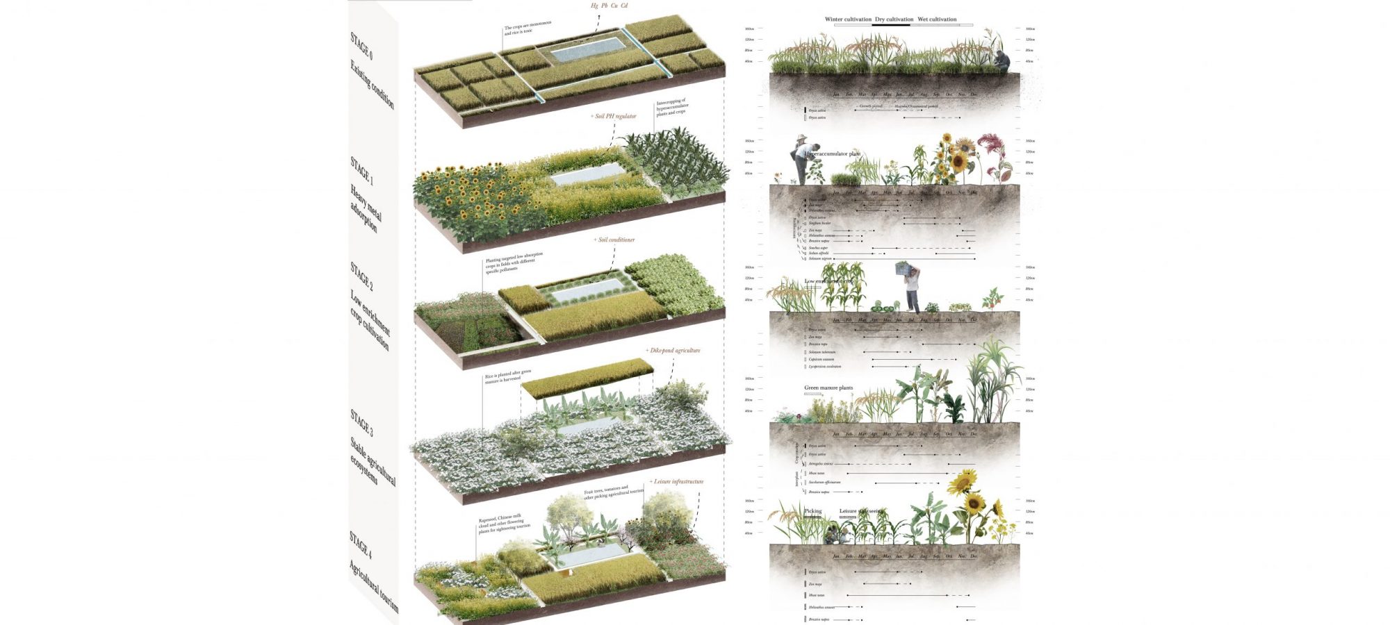 7 Land use Type 1 Framland. By Crystal