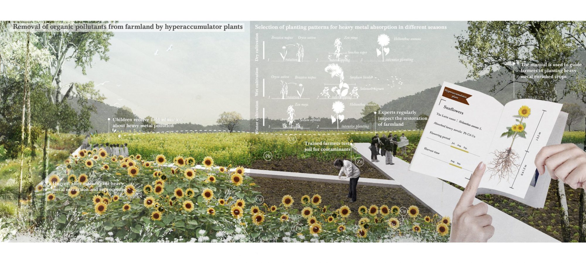 8 Farmland perspective 1. By Crystal.