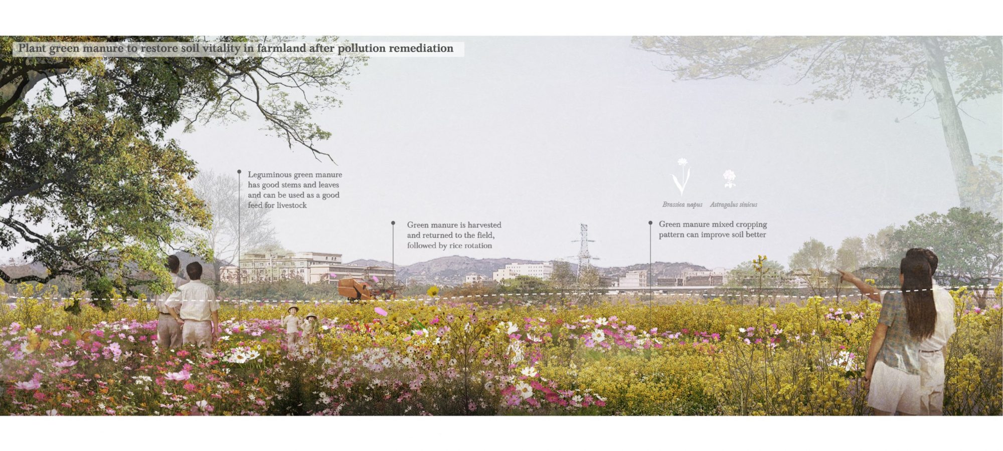 9 Farmland perspective 2. By Crystal.