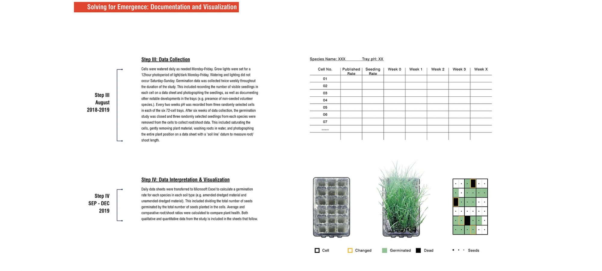 9.Solving for Emergence： Documentation and Visualization.By Jiali LI