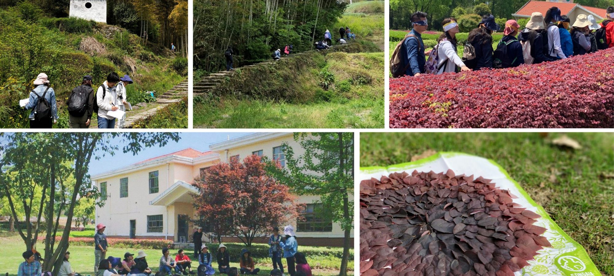 The training camp was organized by Fongaia Nature School and aimed to teach different aspects of being a nature educator.