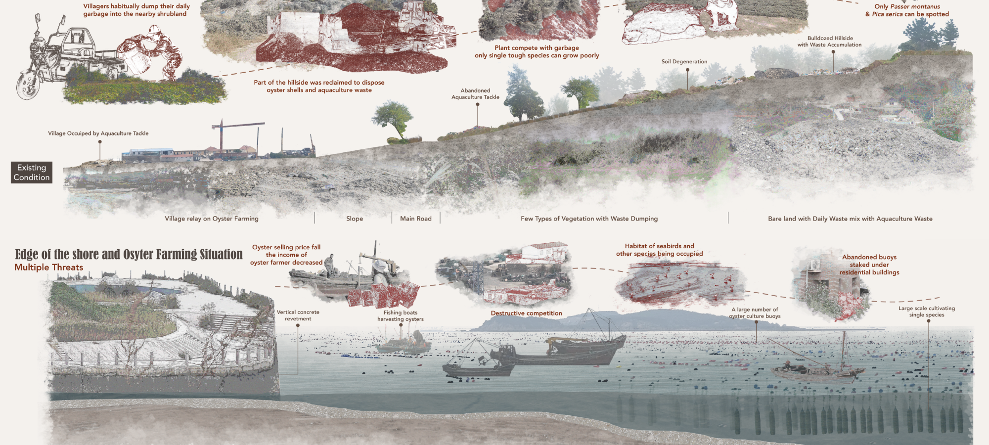 Multiple Threats to the Existing Hillside and Shore