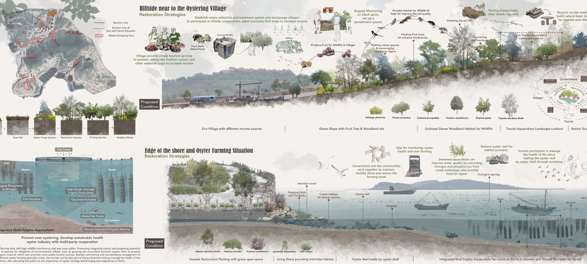 Proposal for the Existing Hillside and Shore